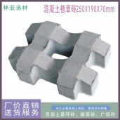 井字植草磚、停車場彩色植草磚、草坪磚、西安九孔草坪磚